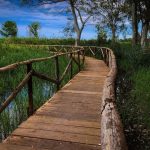 Passeggiata al fiume Ciane tra miti e leggende