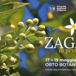 Zagara di primavera all'orto botanico di Palermo