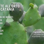 “Piante da mangiare” all’Orto Botanico di Catania