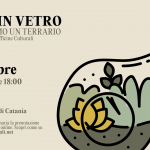 Orto in vetro: costruiamo un terrario
